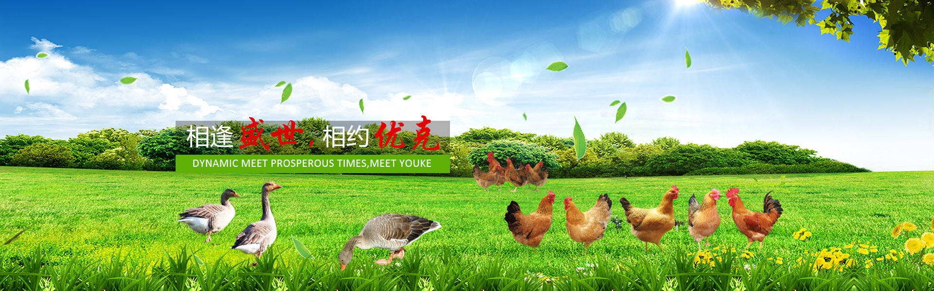 泰安高新區(qū)東方苗木有限公司