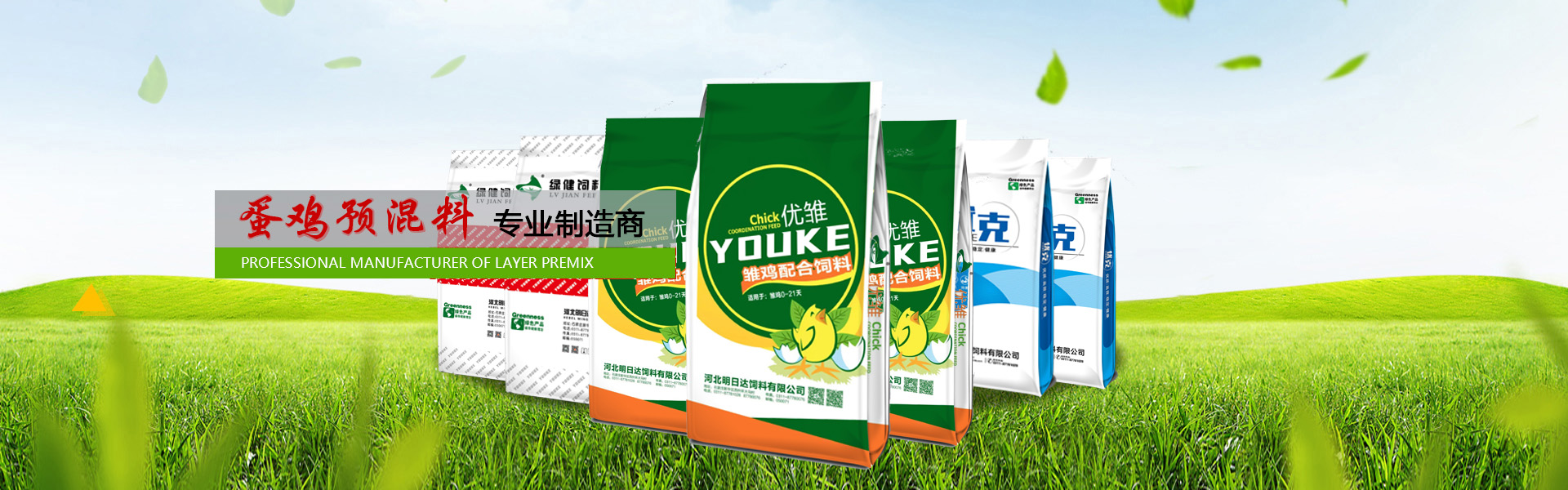 泰安高新區(qū)東方苗木有限公司