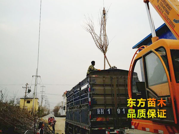 裝車現(xiàn)場
